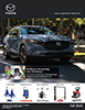 Download a PDF of this promotion.